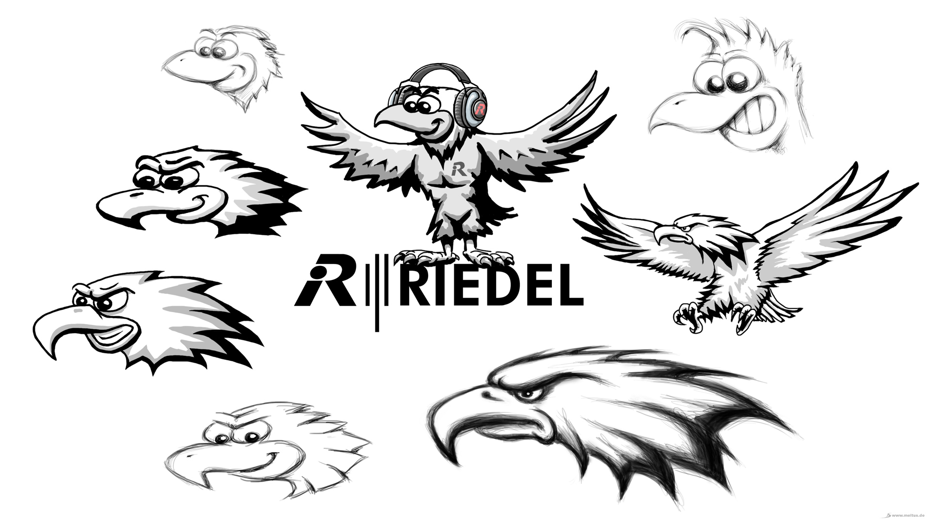 2D Cartoon: Riedel Adler - Adler Cartoon/Maskottchen Entwurf für Riedel.